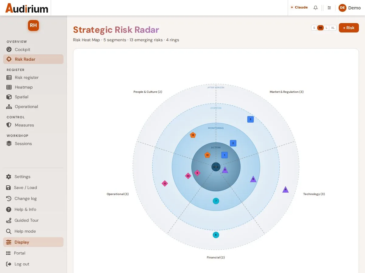The strategic risk radar with five segments and four horizon rings.